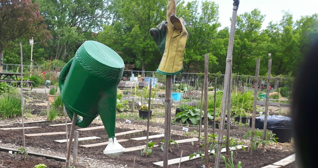 Jardin communautaire