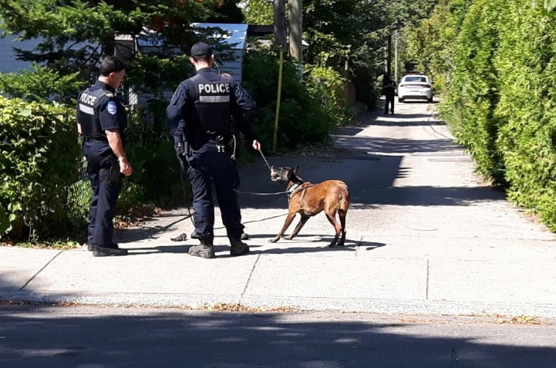 Après avoir participé à localiser le suspect, le chien policier a droit de s'amuser (Photo : jdv - P. Rachiele)