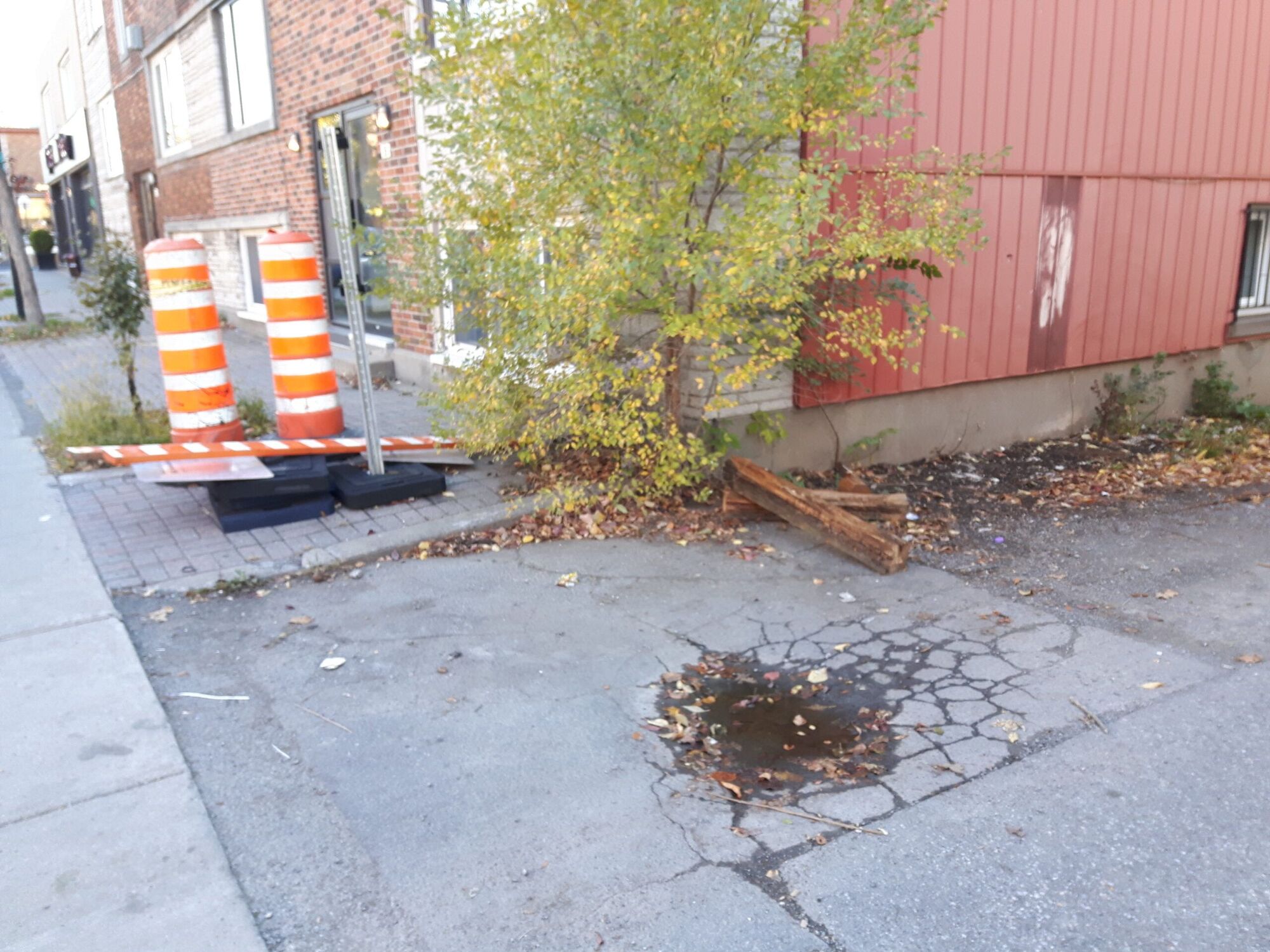 Endroit du dépôt sauvage d'ordres sur Fleury Ouest, non loin du boulevard St-Laurent.