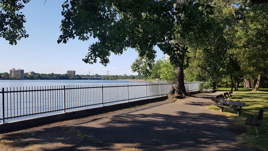 Arbres du parc Louis-Hébert